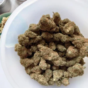 Amnesia Haze Belgium
