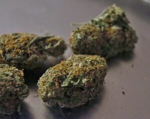 Antwerp cannabis shop