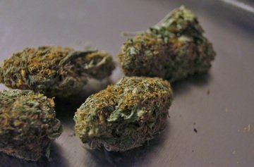 Antwerp cannabis shop